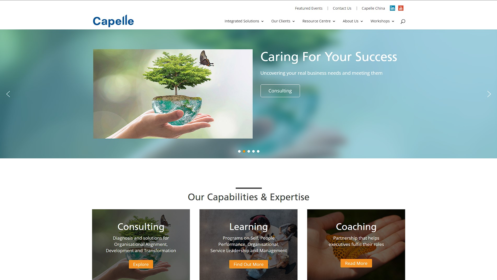 Capelle Consulting Pte Ltd